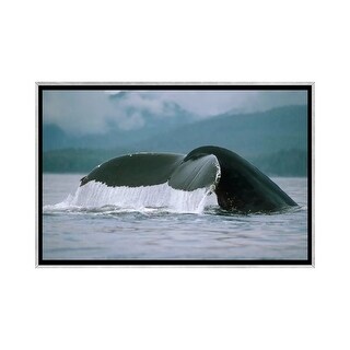 iCanvas "Humpback Whale Tail, Alaska" by Flip Nicklin Framed - Bed Bath